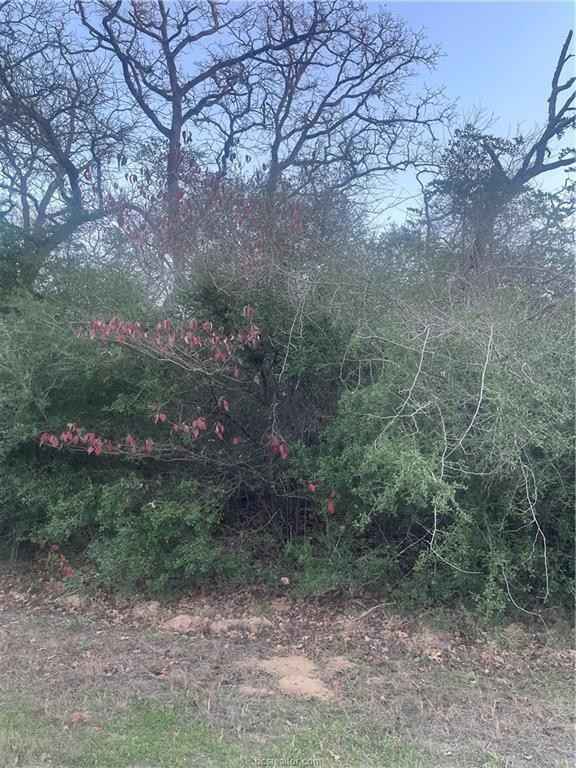 0000 Dogwood Cir  