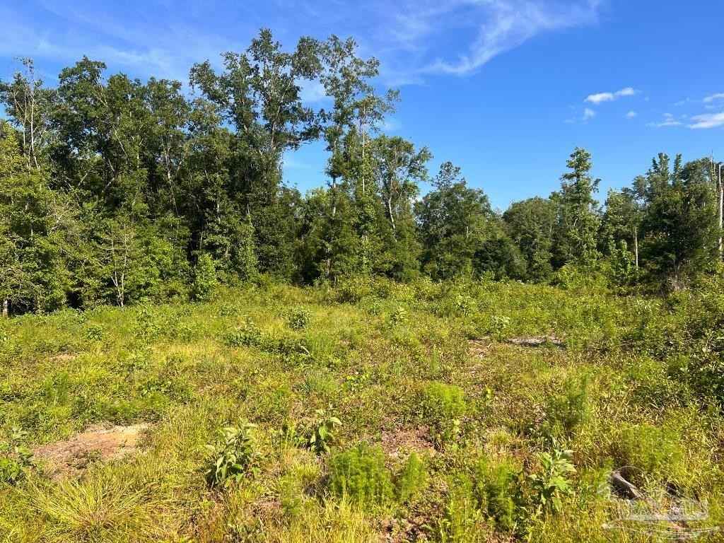 Lot 5-c Cotton Lk Rd  