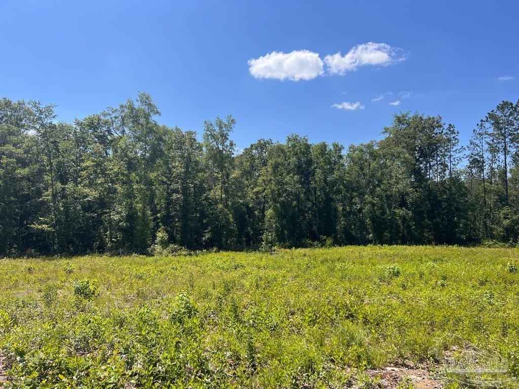 Lot 14-c Hwy 29  