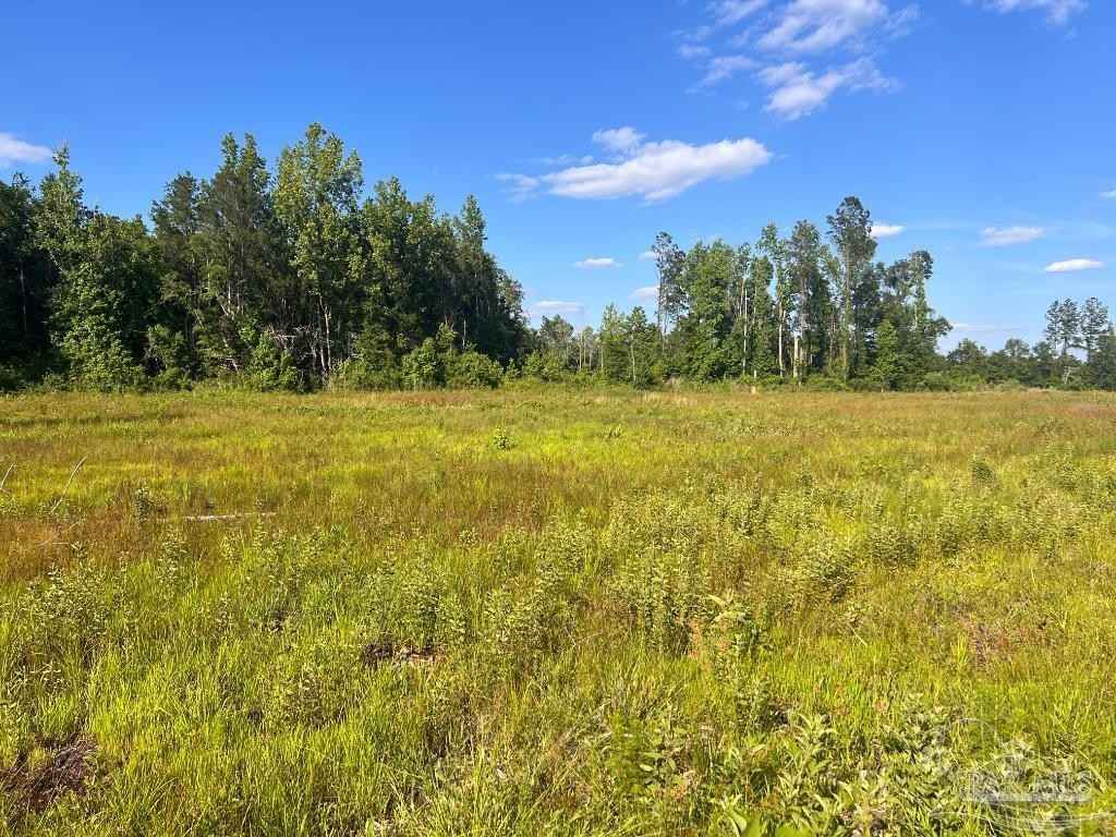 Lot 16-c Hwy 29  