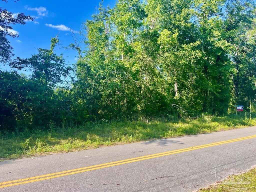 Lot 17-c Cotton Lk Rd  