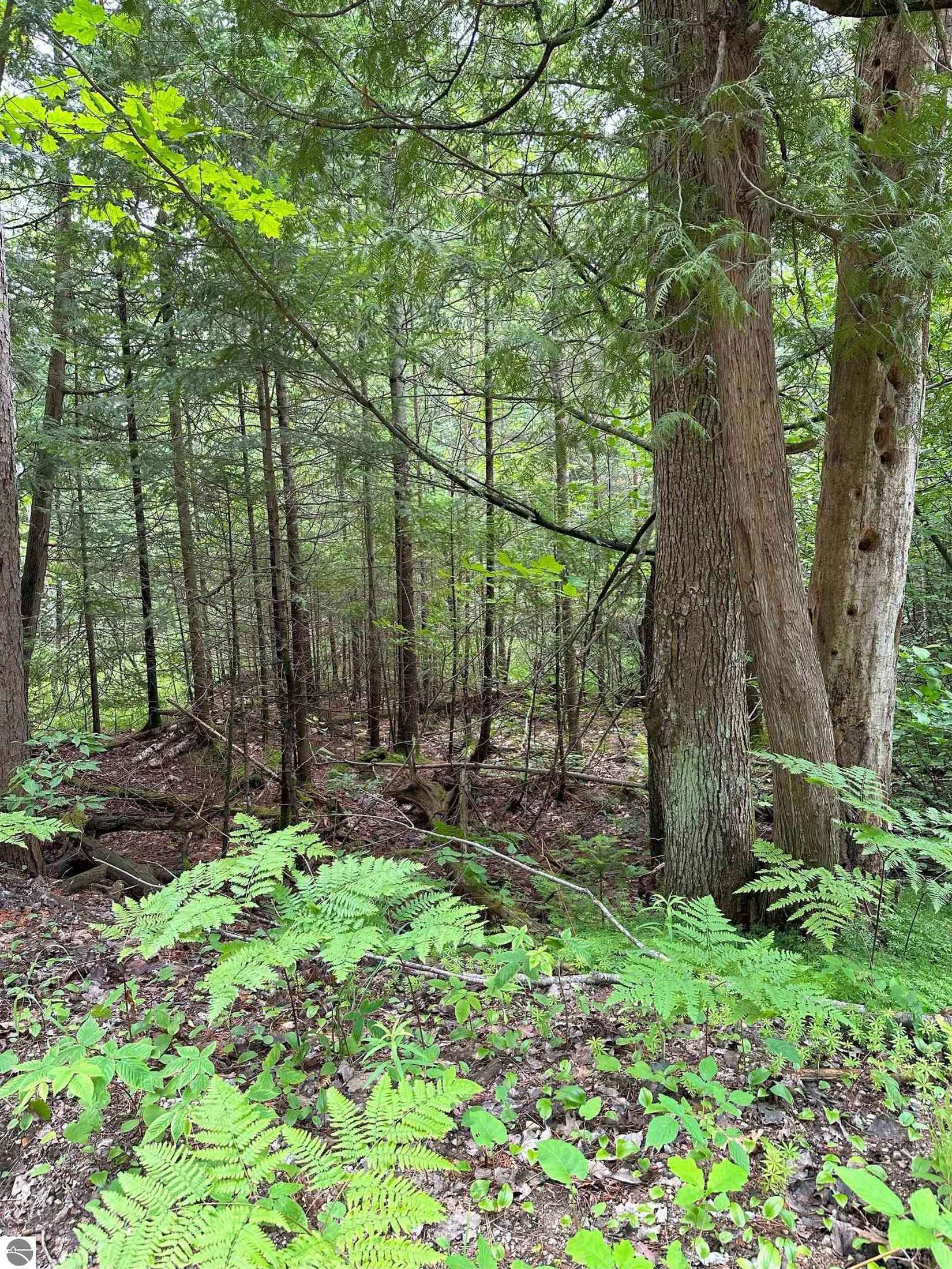 000 Birchcrest  