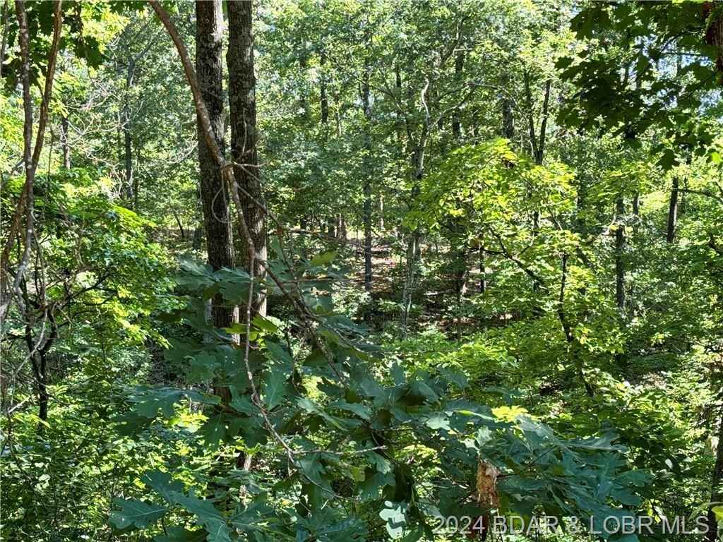 3 acres Leaning Tree Rd  