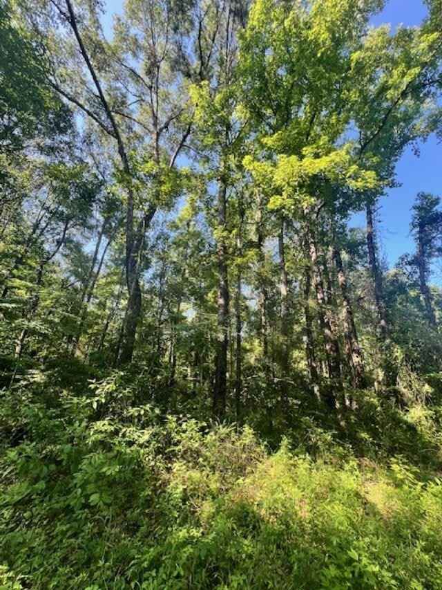 0 Dorsey Rd  