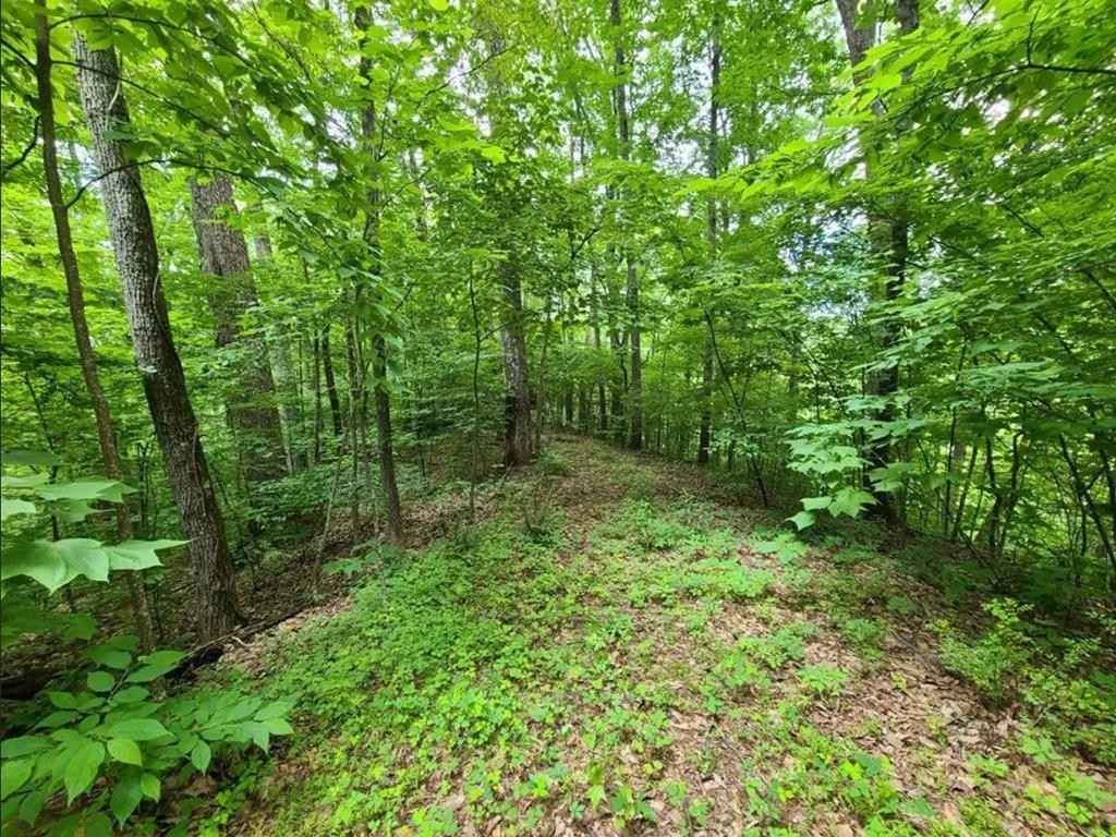 Lot 28 Sonshine Rdg Rd  