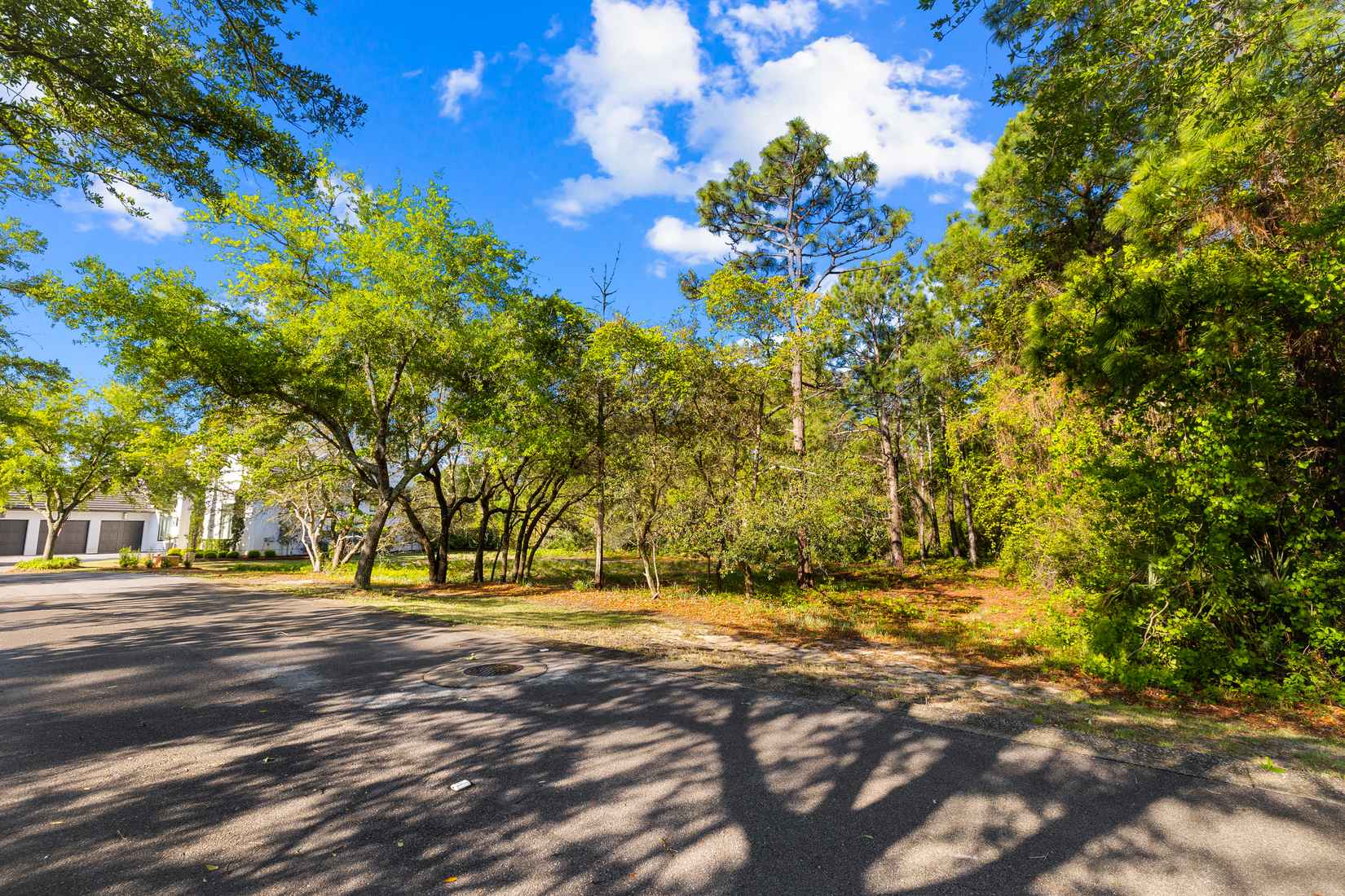3574 Preserve Dr  