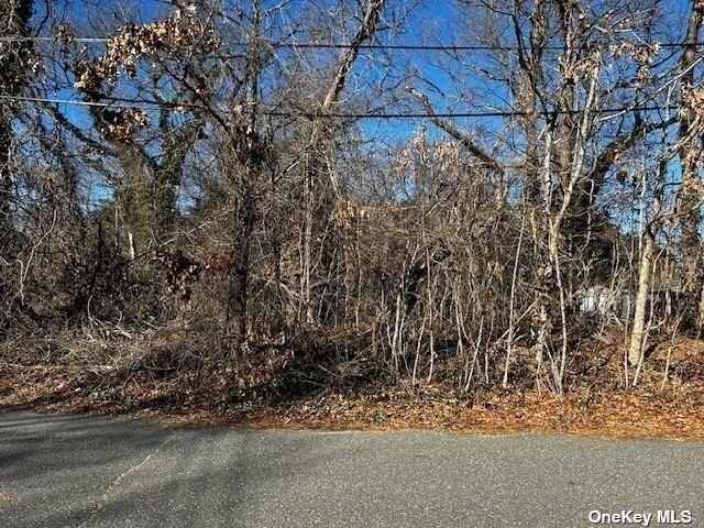 Lot 33 Hollywood Ave  