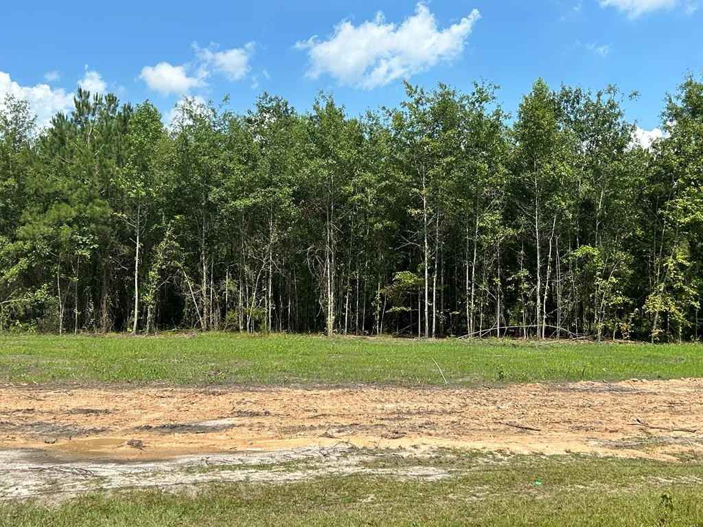 2 -ac Cottonwood Rd (Hwy 53)  