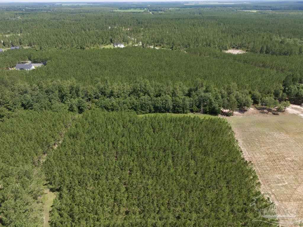 Lot 115 Edge Forest Way  