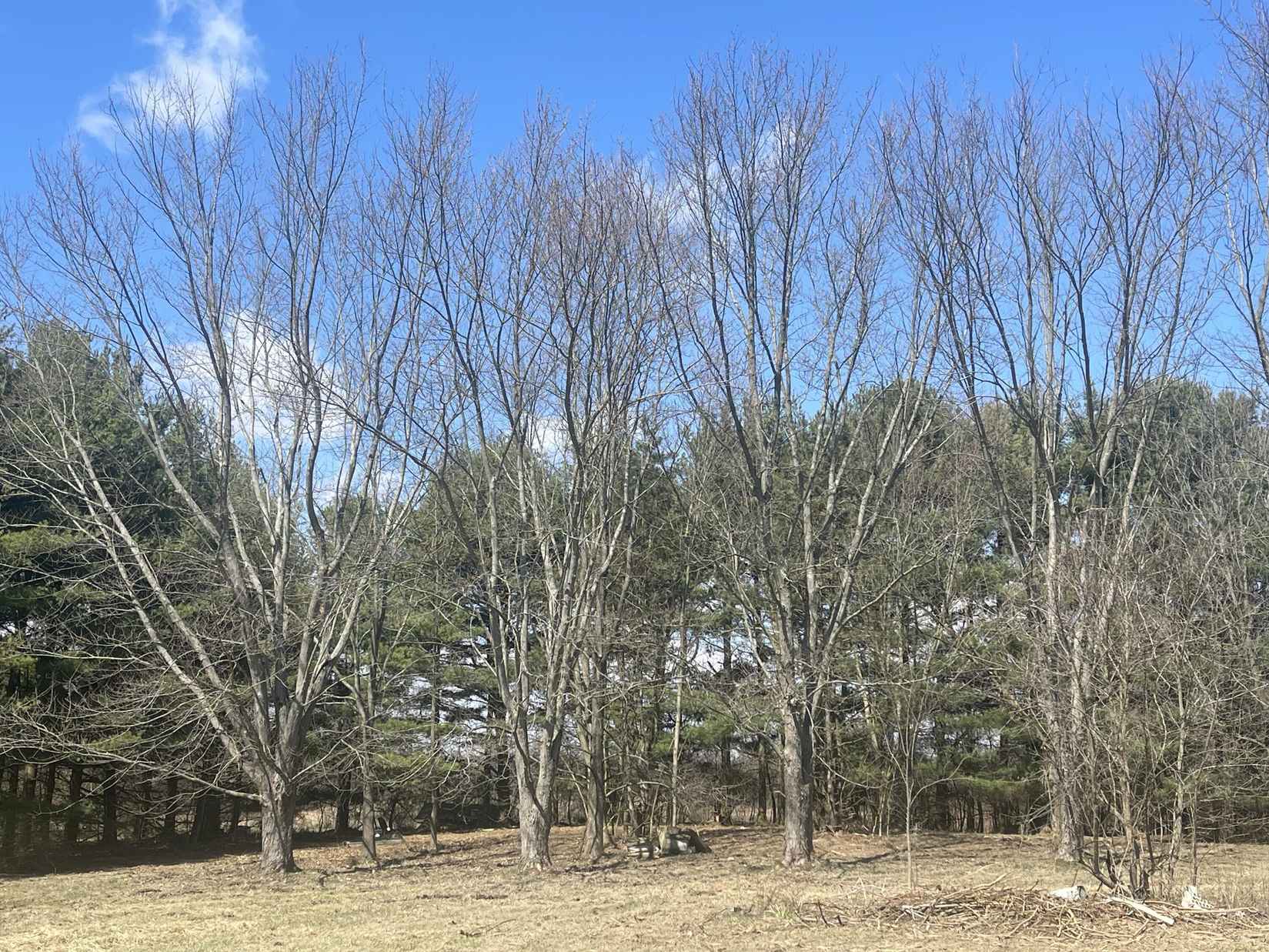 1344 Sportsman Club Rd NW  