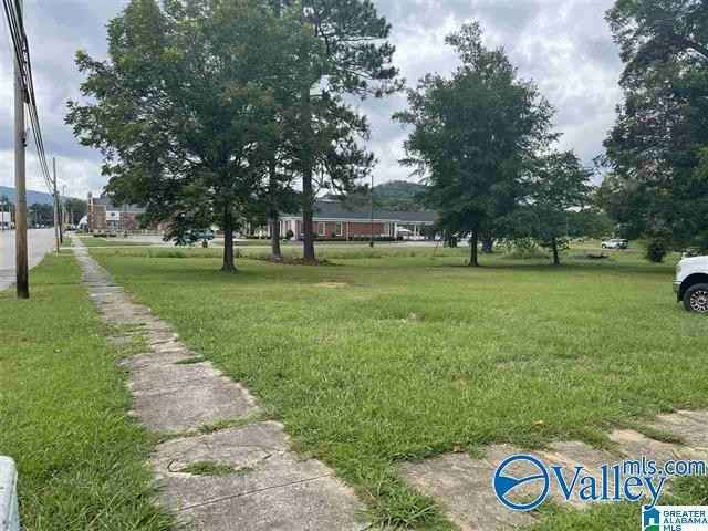 217 N Main St  