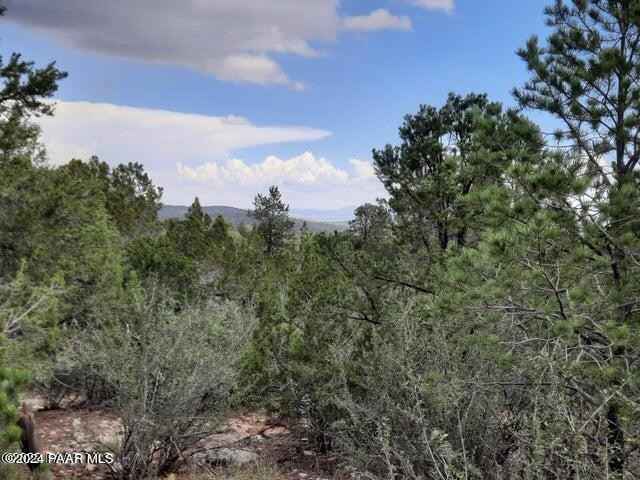 Lot 213 Frst Acres  