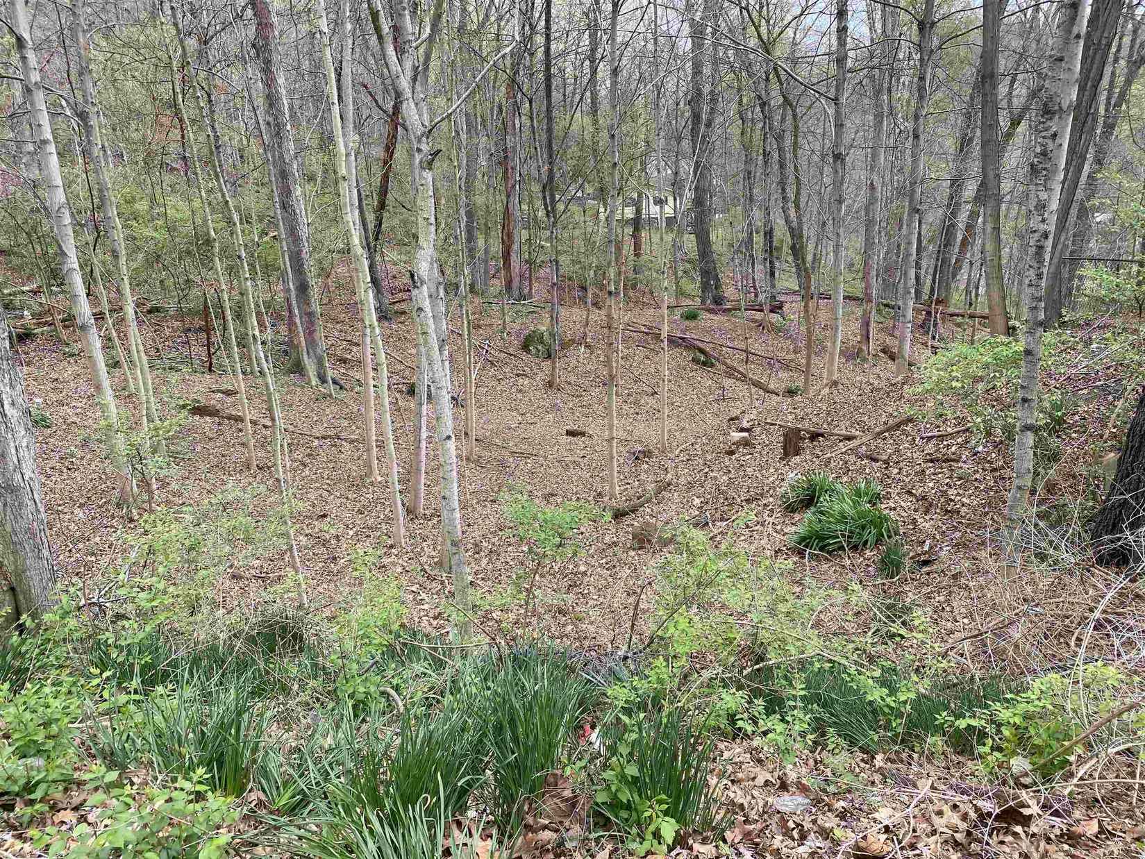 102 106 Westview Ave  