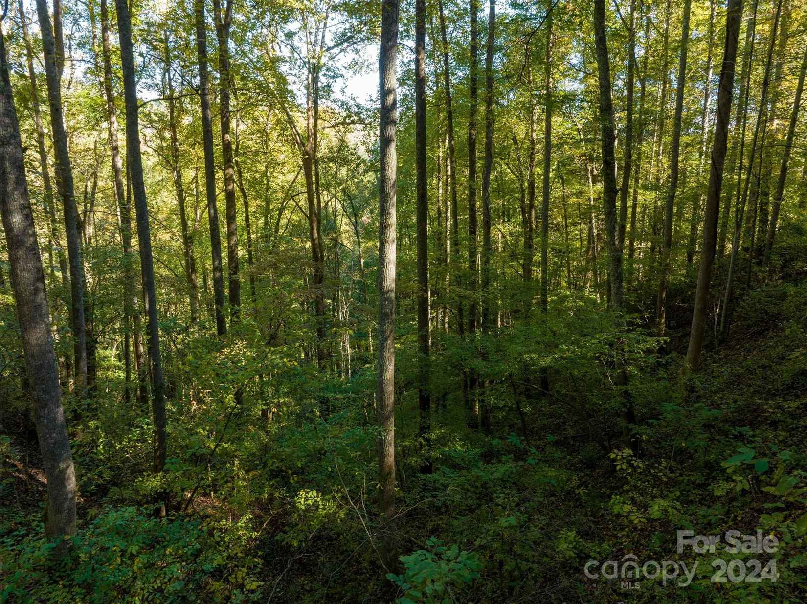 99999 Bear River Ldg Trl  