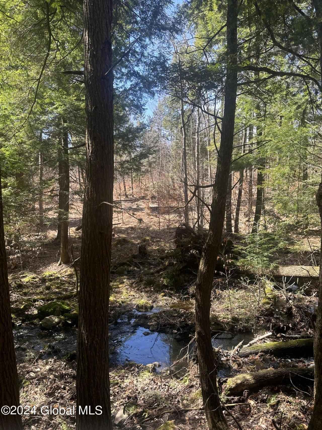 L1 12 Cropsey Rd  