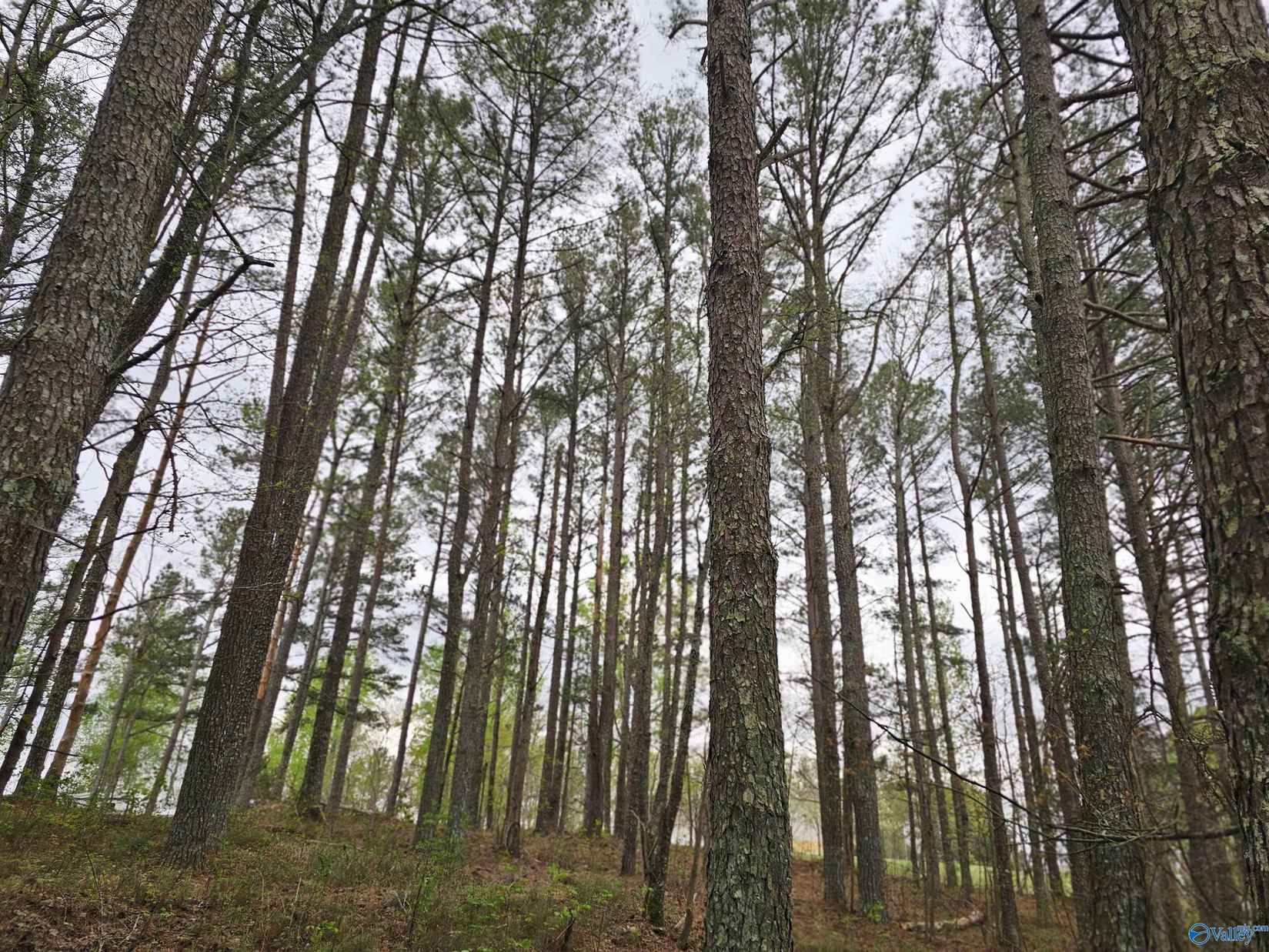 1 12/- Acres 0 Scenic Dr  