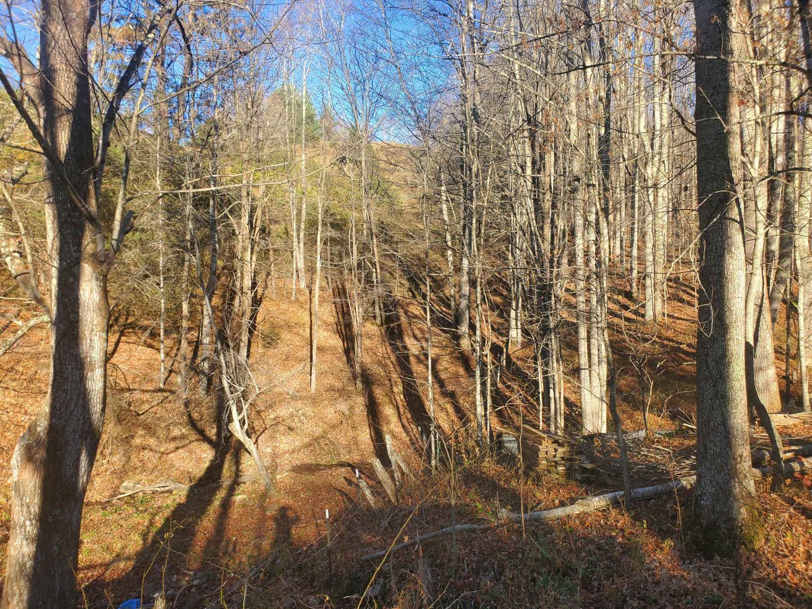 00 Miller Holw Rd  