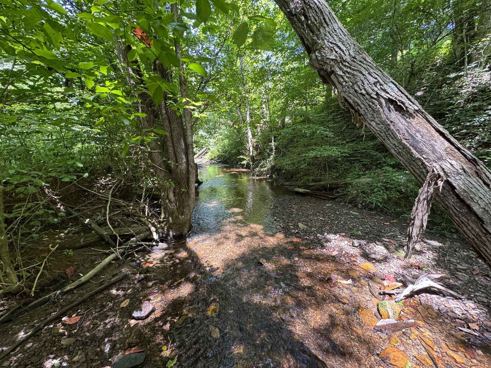 Lot 6 Upper Rinehart Rd  