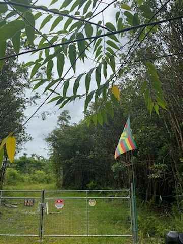 16-1259 ROAD 5 (UAU)  