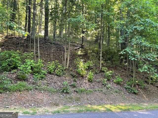 LOT Unit 61 Mountainside Dr  
