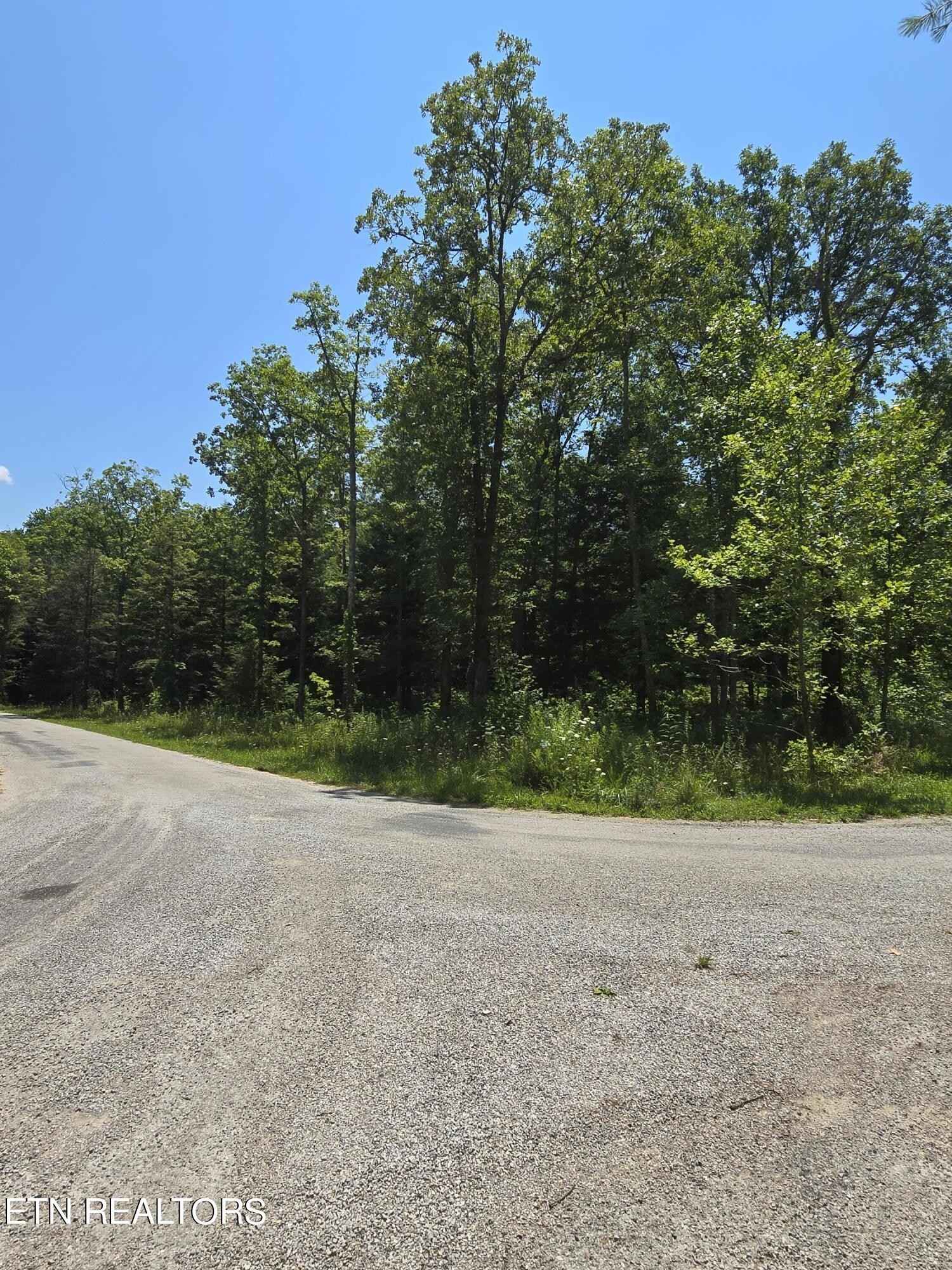 105 Long Br Ct  