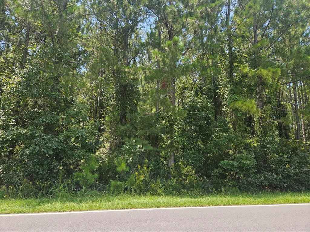Tract 2 Brushy Crk Rd  