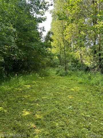 0000 Birch Run Rd  