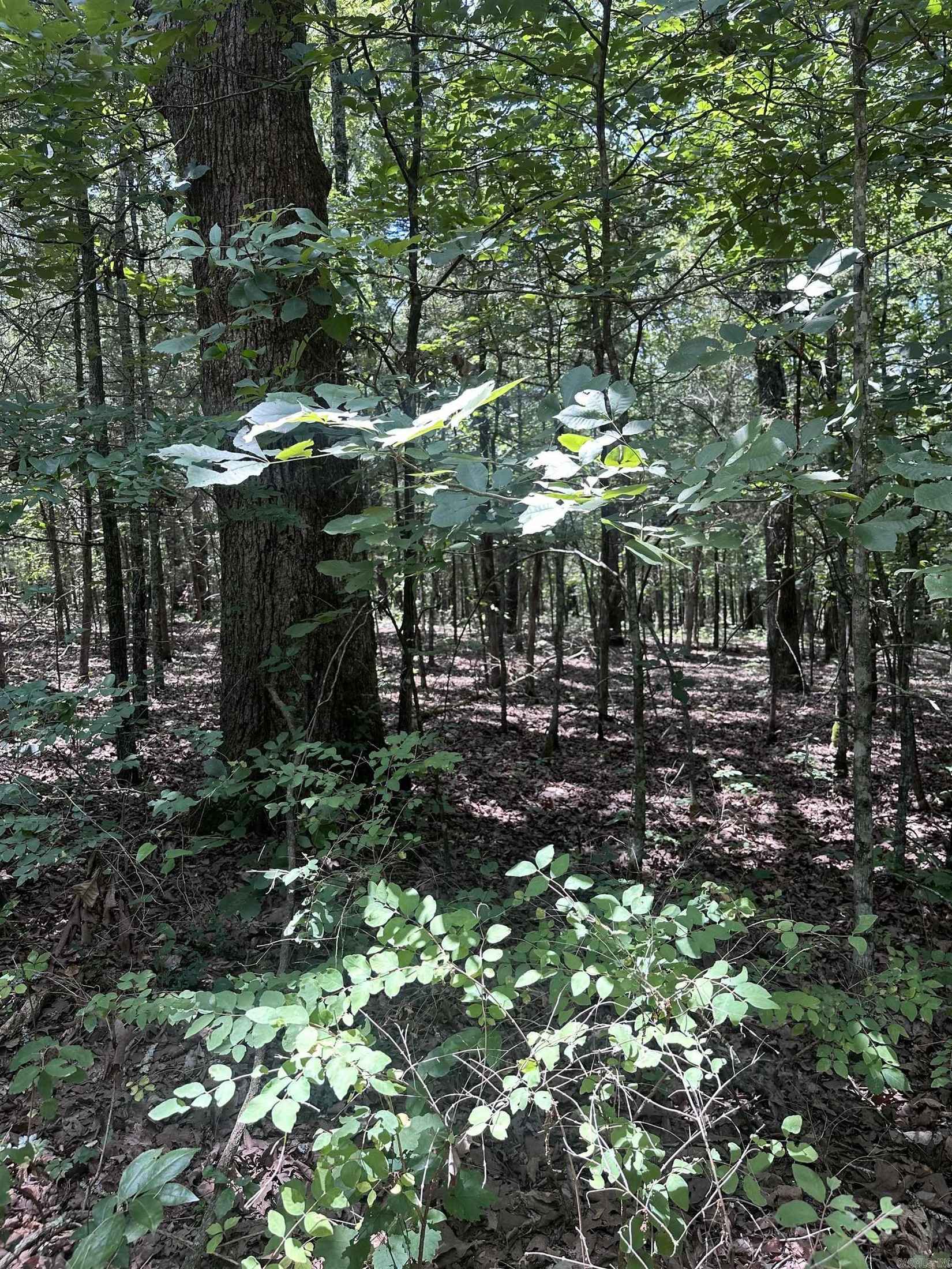 Lot 15 Duncan Ln  