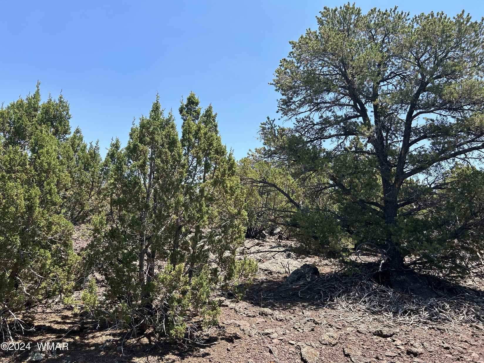 Lot 75 N Dolly (8141) Dr  