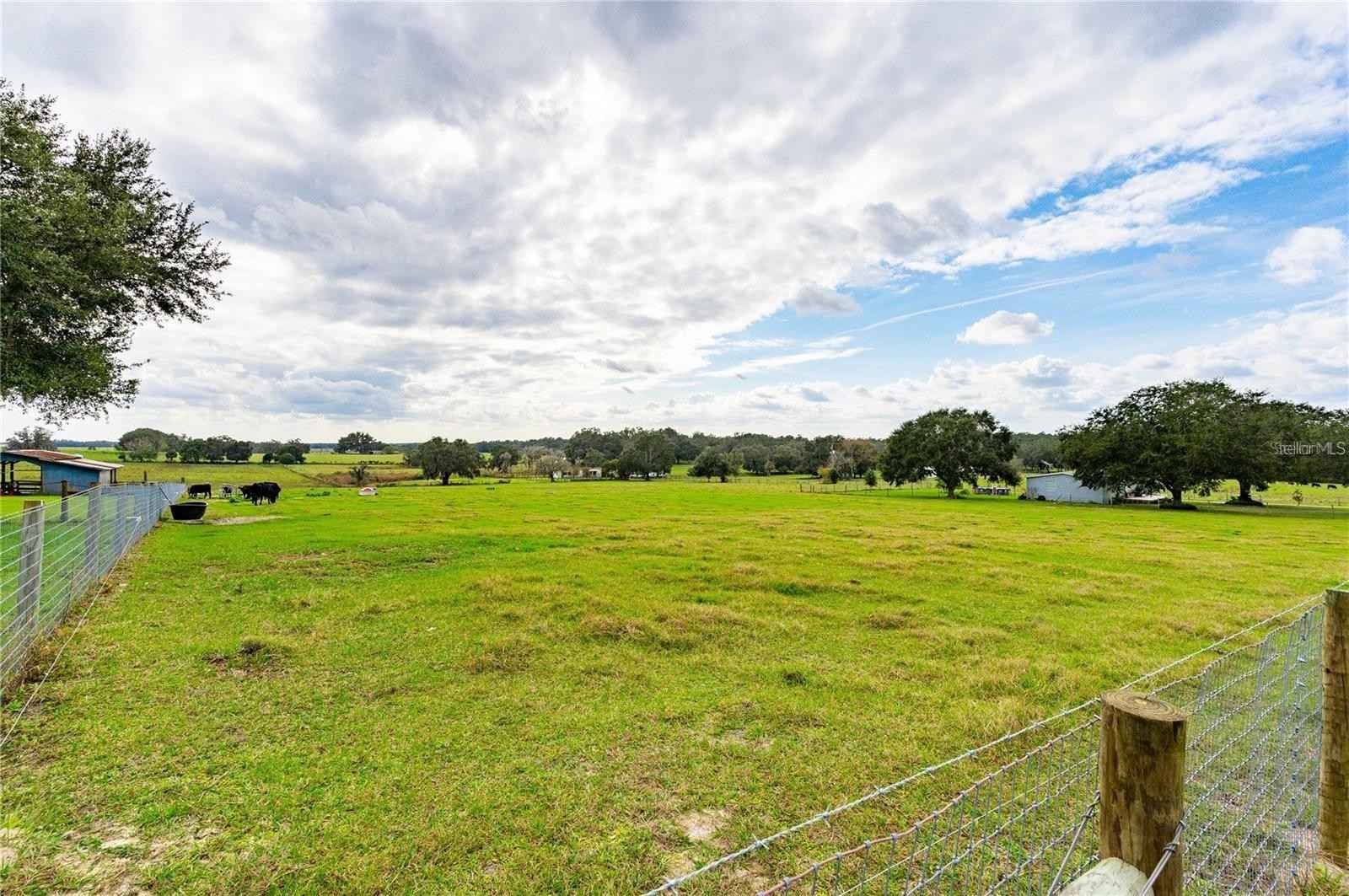 31228 Saint Joe Rd  
