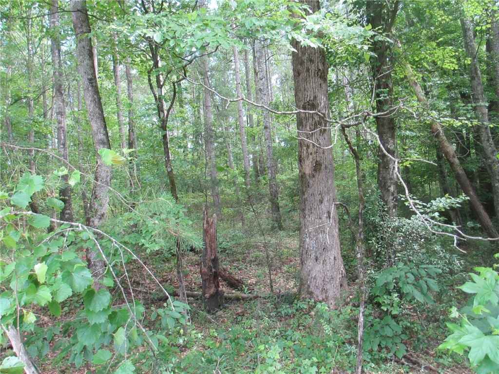 000 Bonner Rd  