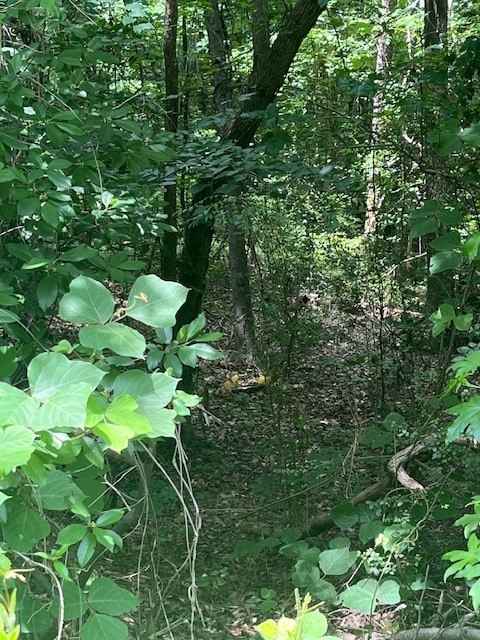 0 Bunker Ln  