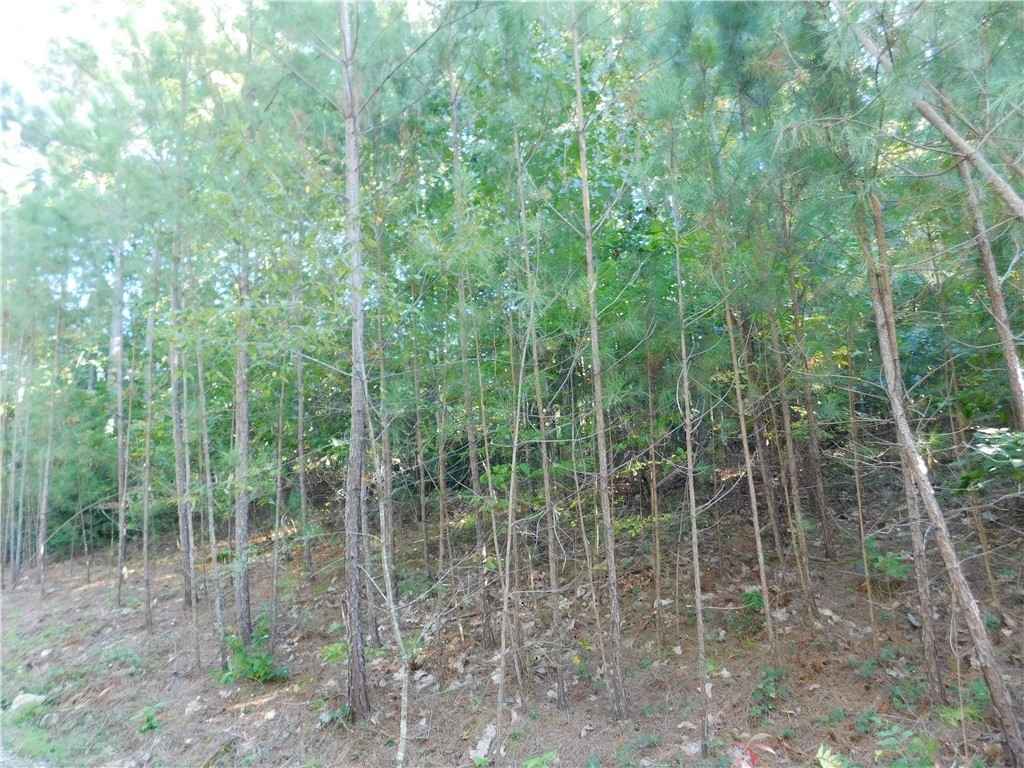 Lot 6 Bentwood Way  