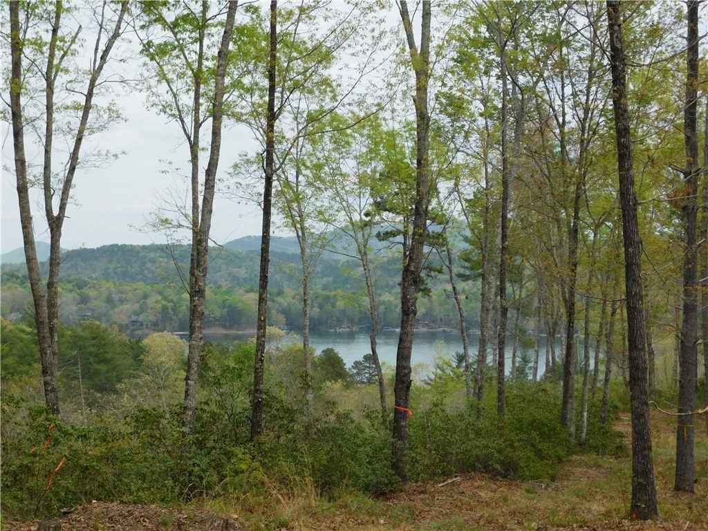 Lot 1 Old Chapman Brg Rd  