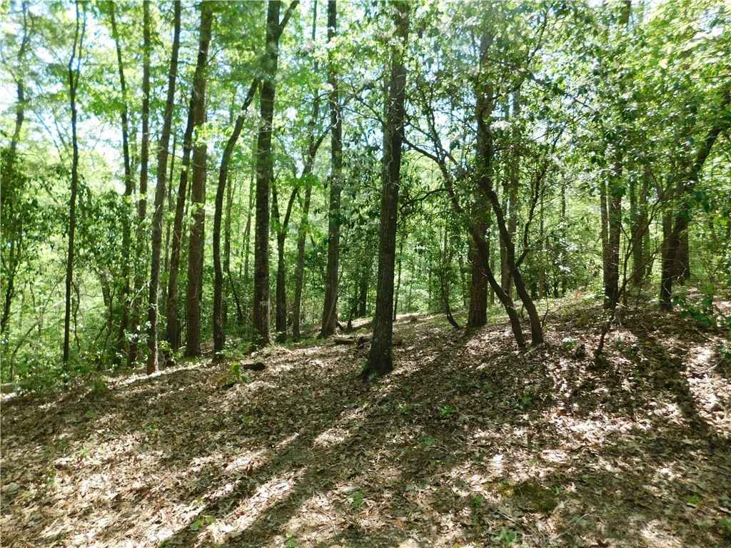 250 Cliffs Fls Pkwy  