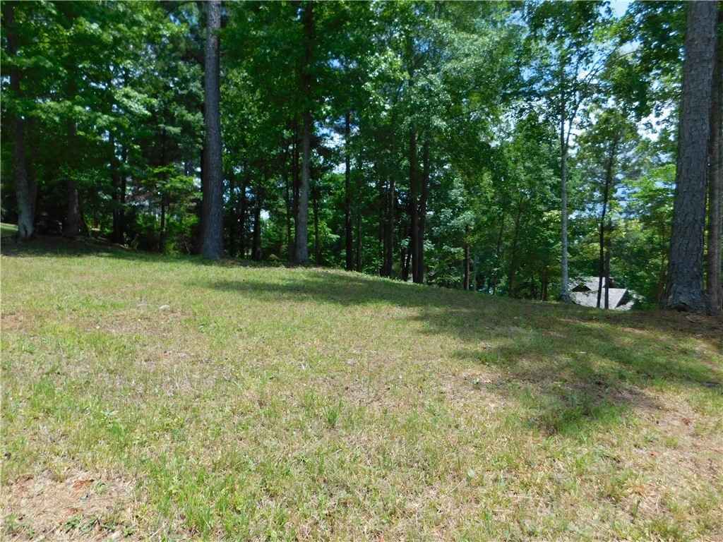 303 Broadleaf Ct  