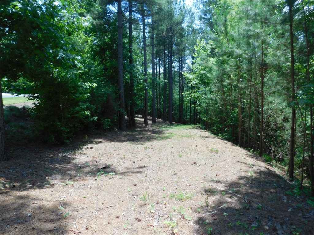 309 Broadleaf Ct  