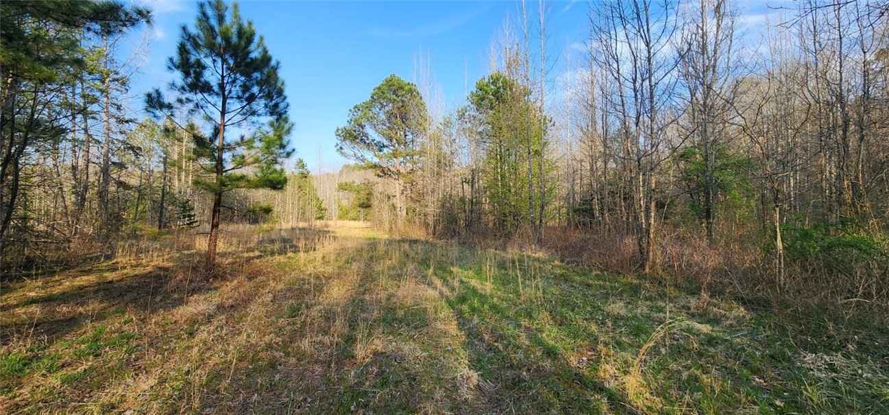 294 Vineyard Rd  