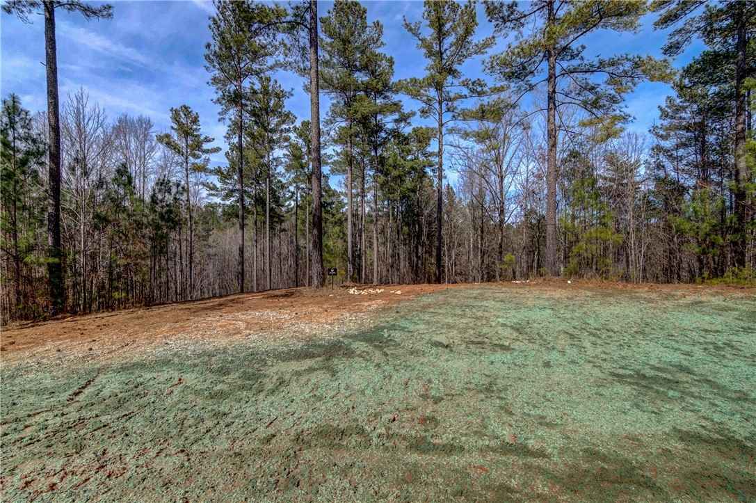Lot 1 Grays Peak Dr  