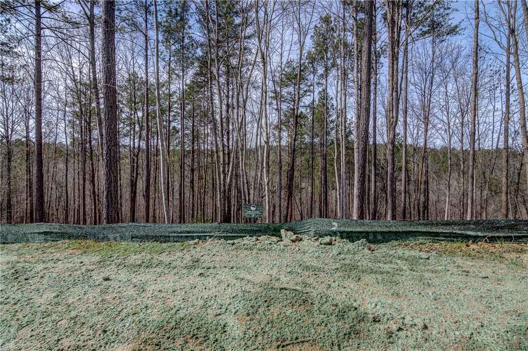 Lot 3 Grays Peak Dr  