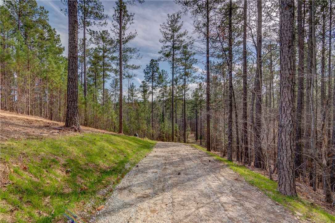 Lot 19 Grays Peak Dr  