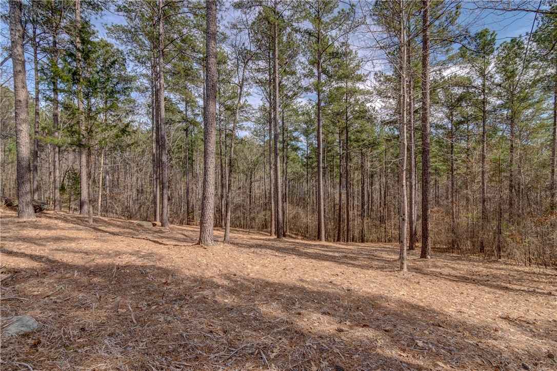 Lot 20 Grays Peak Dr  