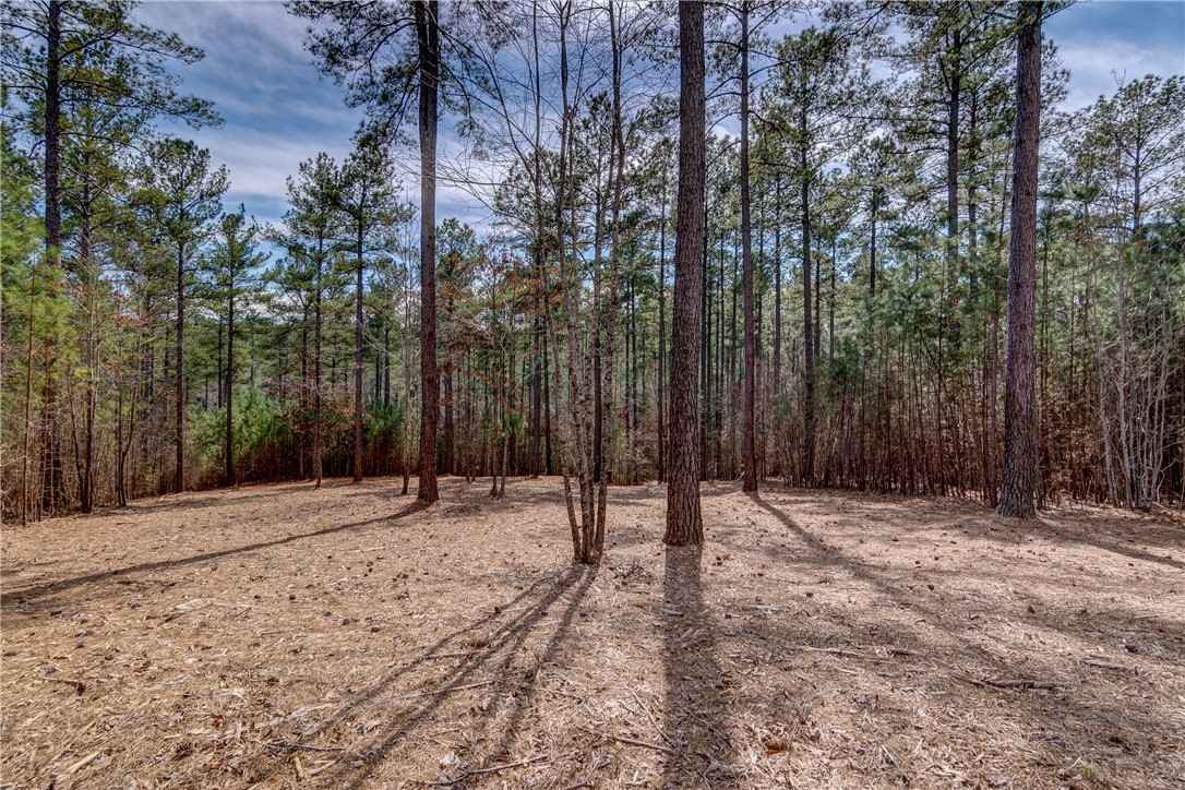 Lot 21 Grays Peak Dr  