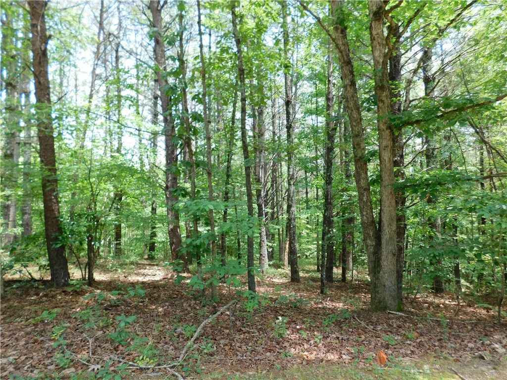 Lot 41 Vineyard Park  