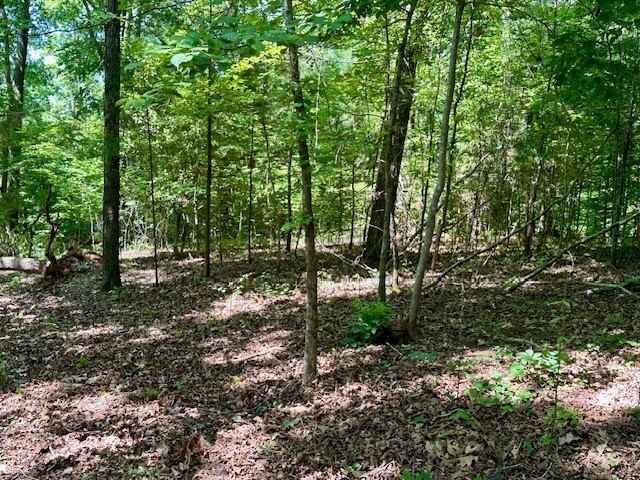 531 Fants Grv Rd  