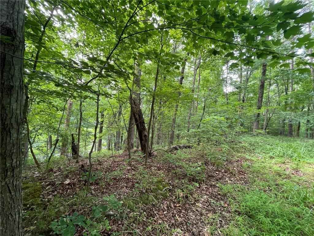 Lot 614 S Sundew Dr  