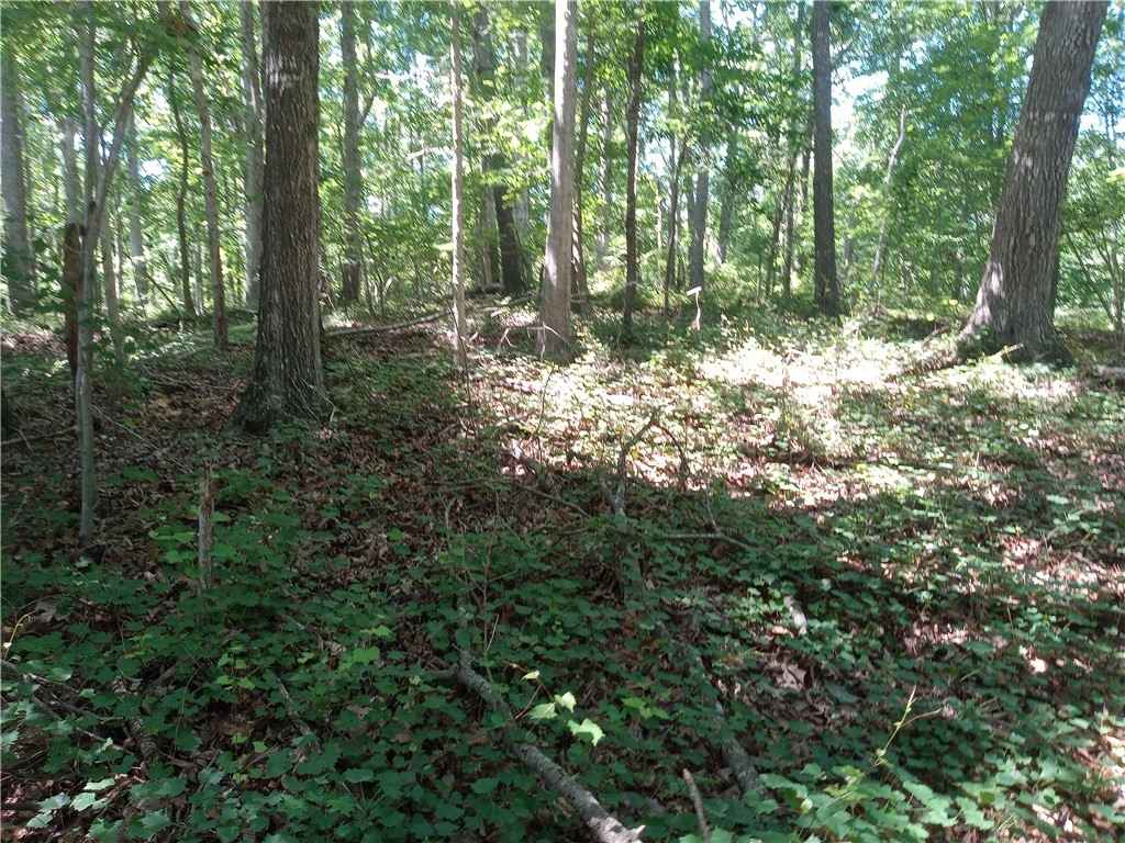 00 Rhododendron Ct  