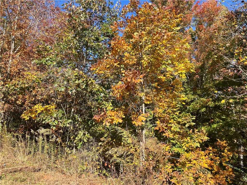 Lot 32-33 Twin Vw Ct  