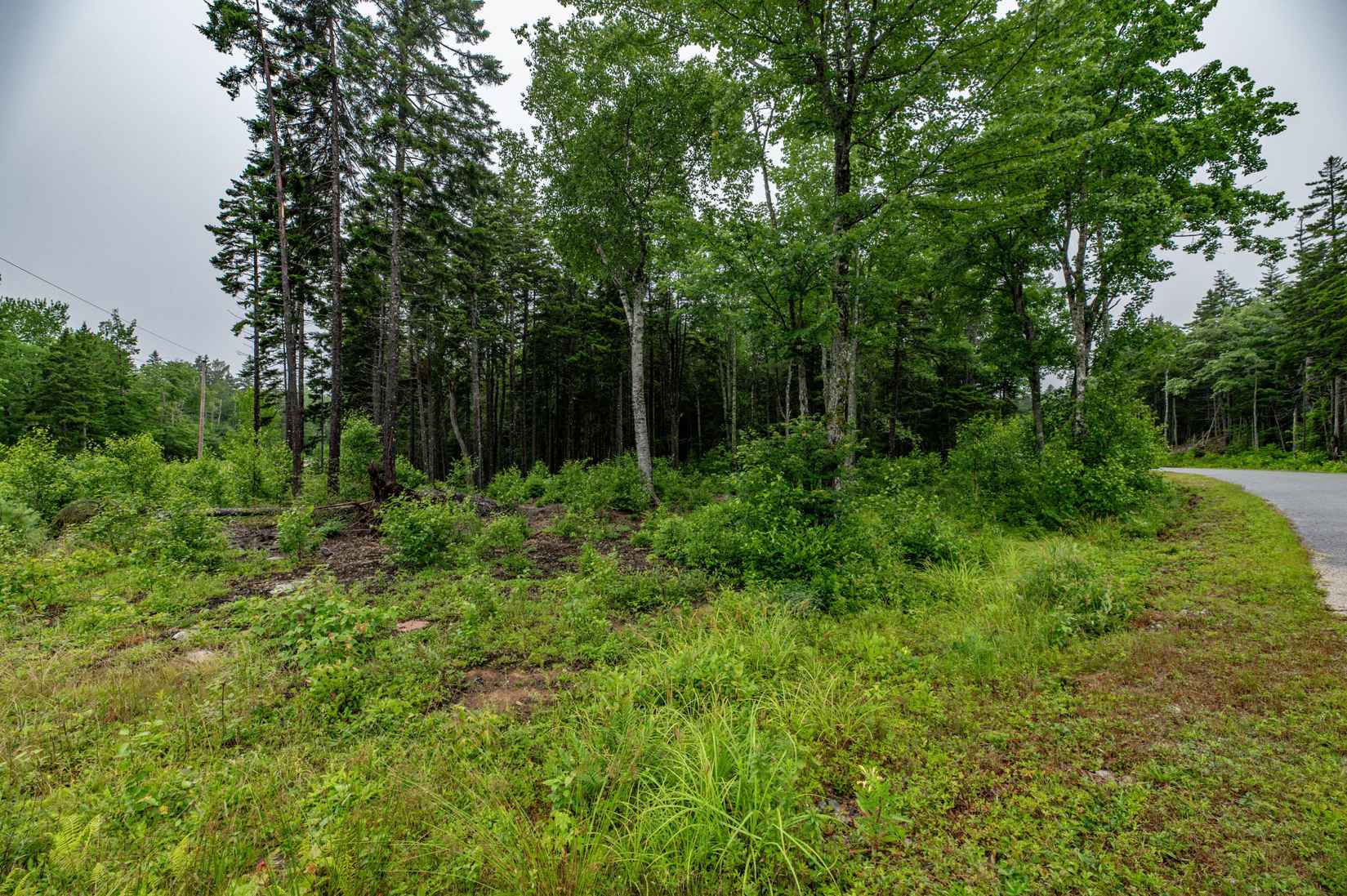 Lot 45 Ests Rd  