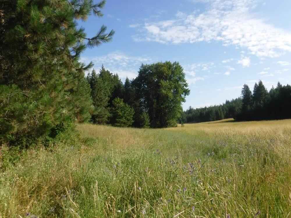 LOT 1 MOOSE RIDGE Way  